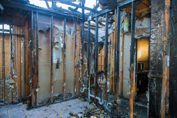 Professional Smoke Damage Removal technician working in Plymouth, NC